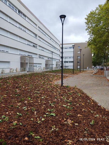 File:Withering-urban-garden.jpg