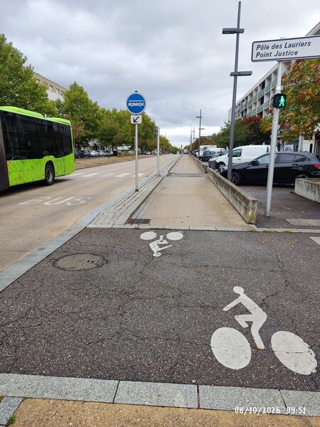 File:Sidewalk-or-bikelane.jpg
